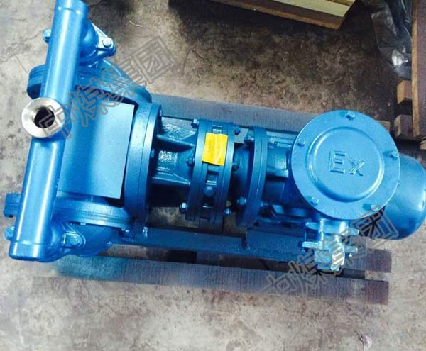 DBY-65电动隔膜泵产品图片
